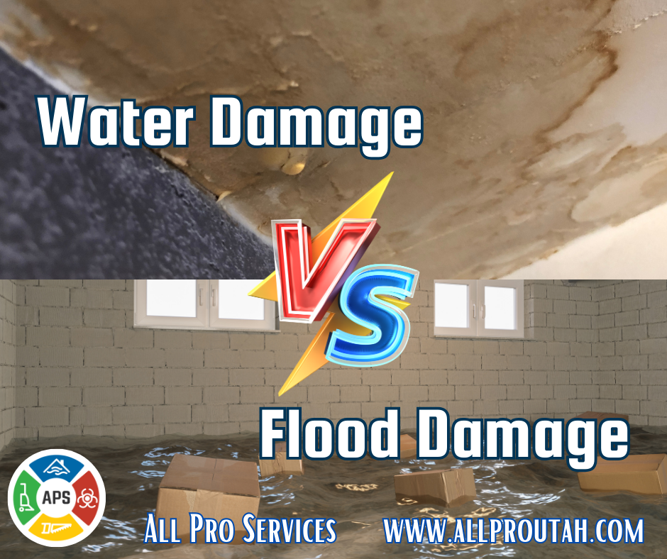 Flood Damage Vs Water Damage in Salt Lake City: What is the Difference?