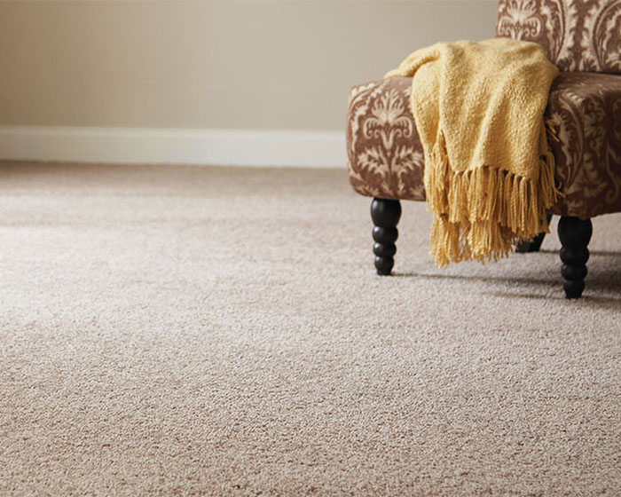 Why Do You Need to Clean Carpet and Upholstery?